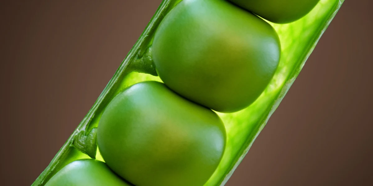What is the role of investors in financing the transition towards sustainable food systems?